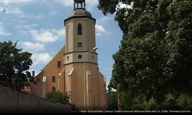 Kościół Najświętszego Zbawiciela Świata i Matki Bożej Szkaplerznej w Strzegomiu