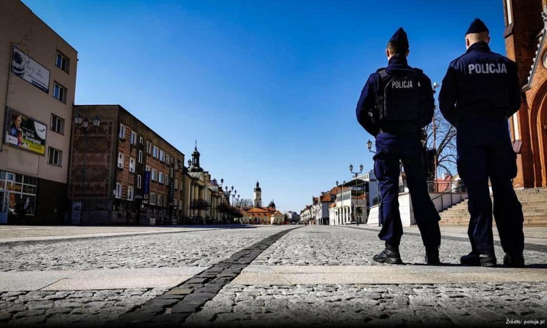 Ostrożność na drogach w obliczu migracji dzikich zwierząt